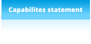 Capabilites statement